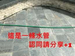 What a Wonderful Day _ Good morning sticker #13733610