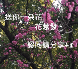 What a Wonderful Day _ Good morning sticker #13733617