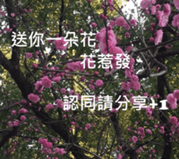 What a Wonderful Day _ Good morning sticker #13733617