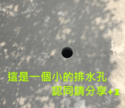 What a Wonderful Day _ Good morning sticker #13733620