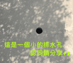 What a Wonderful Day _ Good morning sticker #13733620