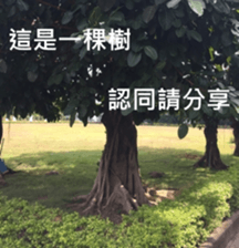 What a Wonderful Day _ Good morning sticker #13733622