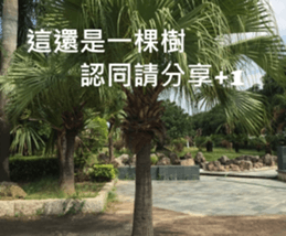 What a Wonderful Day _ Good morning sticker #13733623