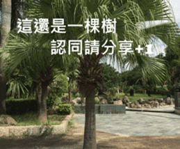 What a Wonderful Day _ Good morning sticker #13733623