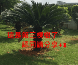 What a Wonderful Day _ Good morning sticker #13733624