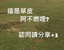 What a Wonderful Day _ Good morning sticker #13733625