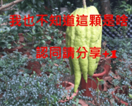 What a Wonderful Day _ Good morning sticker #13733628