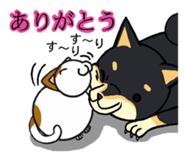 Cat and dog's meeting2 sticker #13733790