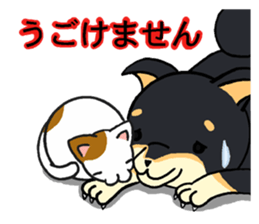 Cat and dog's meeting2 sticker #13733792