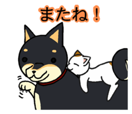 Cat and dog's meeting2 sticker #13733794