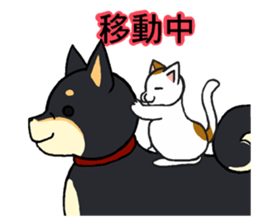 Cat and dog's meeting2 sticker #13733795