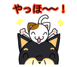 Cat and dog's meeting2 sticker #13733799