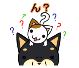 Cat and dog's meeting2 sticker #13733802