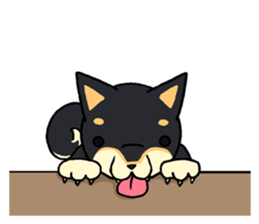 Cat and dog's meeting2 sticker #13733817