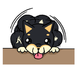 Cat and dog's meeting2 sticker #13733819