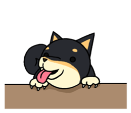 Cat and dog's meeting2 sticker #13733820