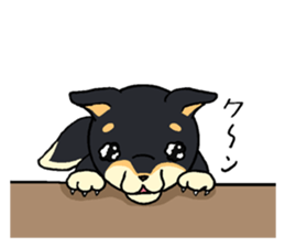 Cat and dog's meeting2 sticker #13733821