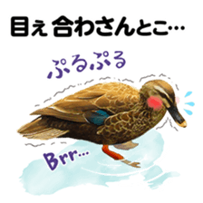 Children Sticker set of 40 sticker #13733933