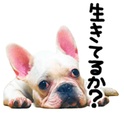 DAIFUKUkun sticker #13734199