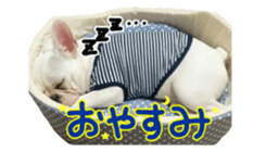 DAIFUKUkun sticker #13734201