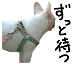 DAIFUKUkun sticker #13734202