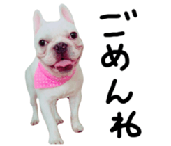DAIFUKUkun sticker #13734204