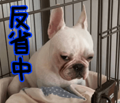 DAIFUKUkun sticker #13734205