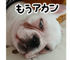 DAIFUKUkun sticker #13734207
