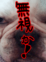 DAIFUKUkun sticker #13734209
