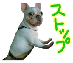 DAIFUKUkun sticker #13734212