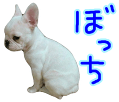 DAIFUKUkun sticker #13734213