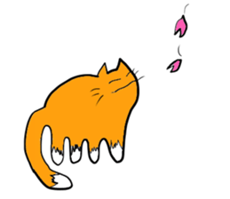 Cat & frog sticker #13734346