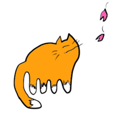 Cat & frog sticker #13734346