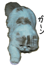 George. sticker #13735062