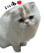 George. sticker #13735063