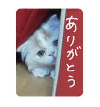 George. sticker #13735069