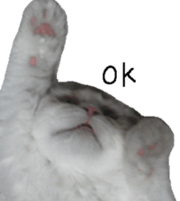 George. sticker #13735070