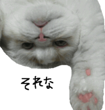 George. sticker #13735071