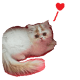 George. sticker #13735072