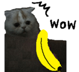 George. sticker #13735075