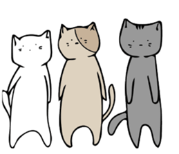 Chan cat Sticker sticker #13735295