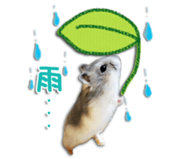 Djungarian hamster -Hamuta- Photo ver.2 sticker #13735314