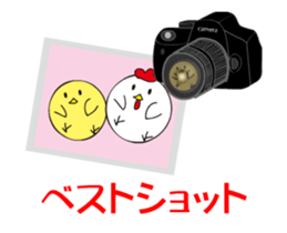 photograph rooster sticker #13737278