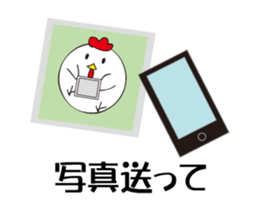 photograph rooster sticker #13737279