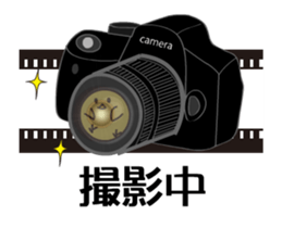 photograph rooster sticker #13737282