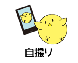 photograph rooster sticker #13737284