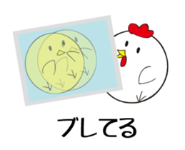photograph rooster sticker #13737285