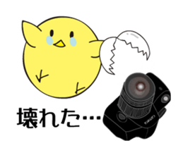 photograph rooster sticker #13737295