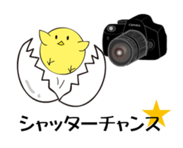 photograph rooster sticker #13737297