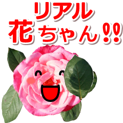 Lineアニメーションスタンプ 動くスタンプ 花 検索結果